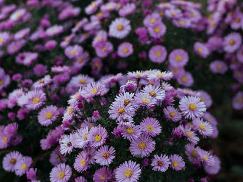 Tapping Into Wisdom – Topic&nbsp;7