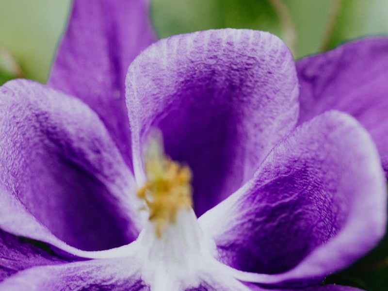 Tomorrow’s Thoughts – Topic&nbsp;6