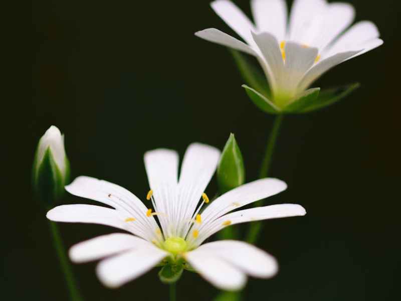 The Beginning of All – Topic&nbsp;8