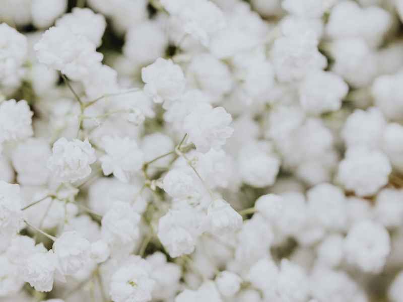 Mirroring – Topic&nbsp;9